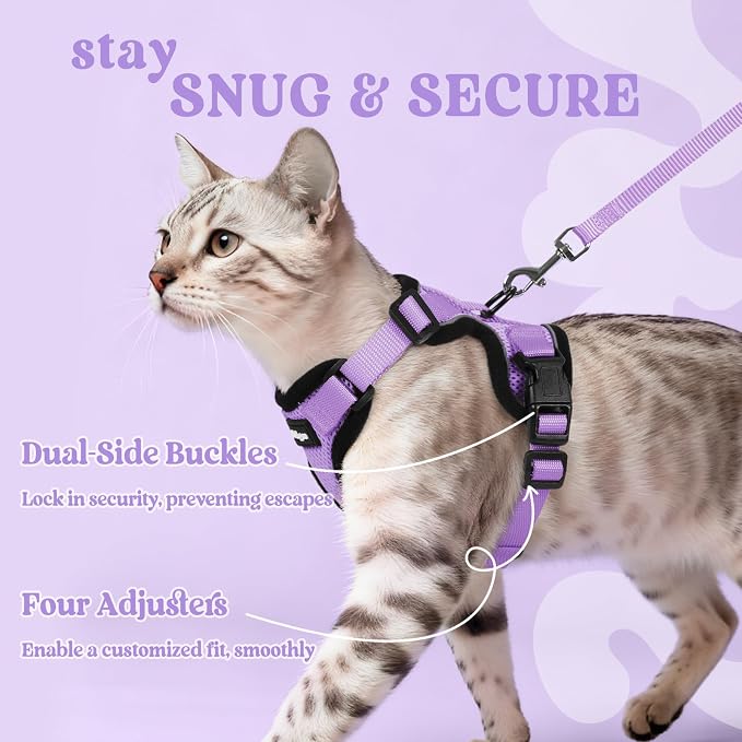 rabbitgoo Cat Harness and Leash Set, Escape Proof Vest, Light Purple | Soft Breathable Mesh, Easy Adjustable Fit, Snap Buckles, Sturdy Clip, Reflective Strips, for Kittens & Small Cats Walks, Xxs