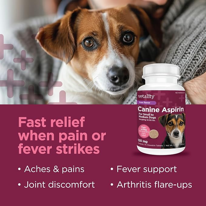 Vetality Canine Aspirin for Dogs | Fast Pain Relief | Small to Medium Dogs | Liver Flavor | 75 Chewable Tablets