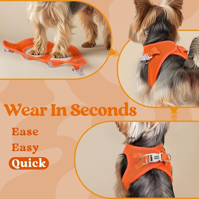 rabbitgoo Step-in Small Dog Harness, Puppy Vest for Medium Sized Pet | Easy Put on and off, Lightweight, Soft, Breathable Quick-Dry Air Mesh for Comfortable Secure Walking, Orange XXL