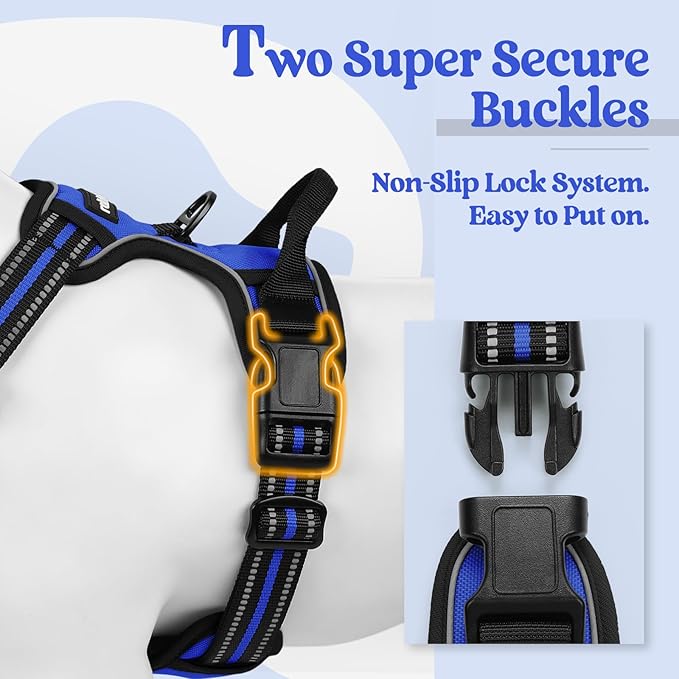 rabbitgoo Dog Harness, No Pull Medium Sized with 2 Leash Clips, Pet Vest | No Choke with Handle, Adjustable Soft Padded, Reflective, Easy Control for Walking, Dazzling Blue, Medium