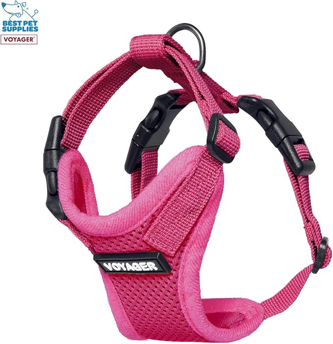 Best Pet Supplies Voyager Step-in Lock Pet Harness w Reflective Pet Leash Combo Set with Neoprene Handle 5ft - Supports Small, Medium and Large Breed Puppies/Cats - Fuchsia Set, XXXS