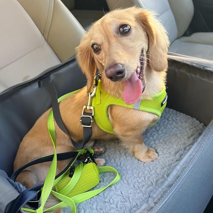 Best Pet Supplies Voyager Step-in Air All Weather Mesh Harness and Reflective Dog 5ft Leash Combo with Neoprene Handle, for Small, Medium and Large Breed Puppies - Lime Green, XX-Small
