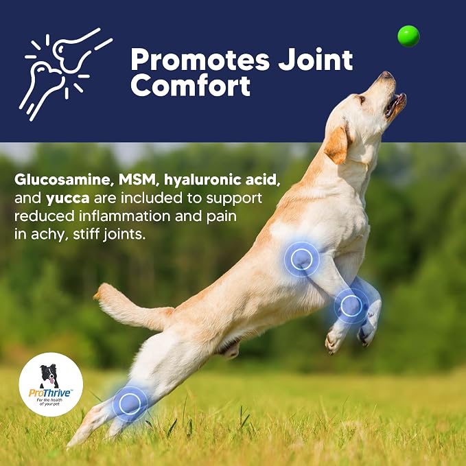 ProThrive Senior Dog Digestive & Joint Supplement - Supports Healthy Digestion, Immune System, and Joint Comfort for Aging Dogs, Advanced Relief 3.75 Lb