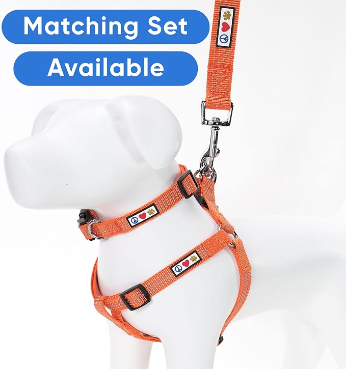 Pawtitas Orange Dog Leash 6 ft XS/S Reflective Durable Lightweight Dog Lead for Small Dogs and Puppies