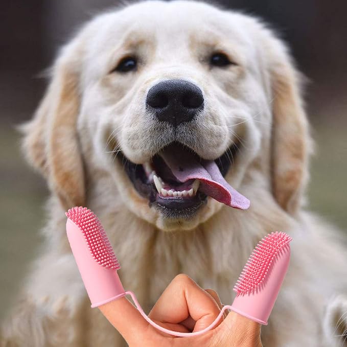 Dog Toothbrush for Teeth Cleaning, 2-Finger Small Finger Brushes with Soft Silicone Bristles, Pet Care for Dogs and Cats, Green