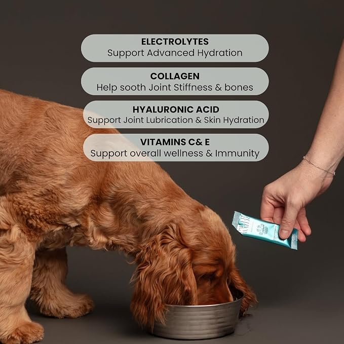 Advanced Joint & Hydration Supplement for Dogs – Vet-Approved - Soluble Powder with Collagen, Electrolytes, 7 Active Nutrients & Vitamins – Chicken Broth Flavor (Up to 4 Weeks Supply)