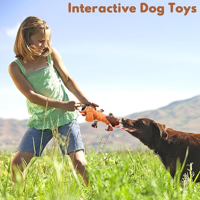 Dog Squeaky Toys for Puppies & Small Dogs - Bubble Plush Cuddle Buddy with Sliding Rope for Teething & Anxiety Relief, Interactive Tug Toy for Gentle Chewers (Chihuahua, Yorkie, Corgi, Poodle)