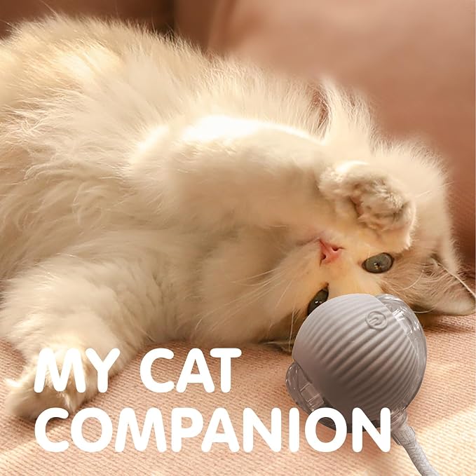 Rocfish Durable Interactive Cat Toys for Indoor Cats (Grey, 01) | Smart Automatic Cat Chase Ball Toy, Upgraded Speedy Tail Kitten Toy for Bored Indoor Adult Pets
