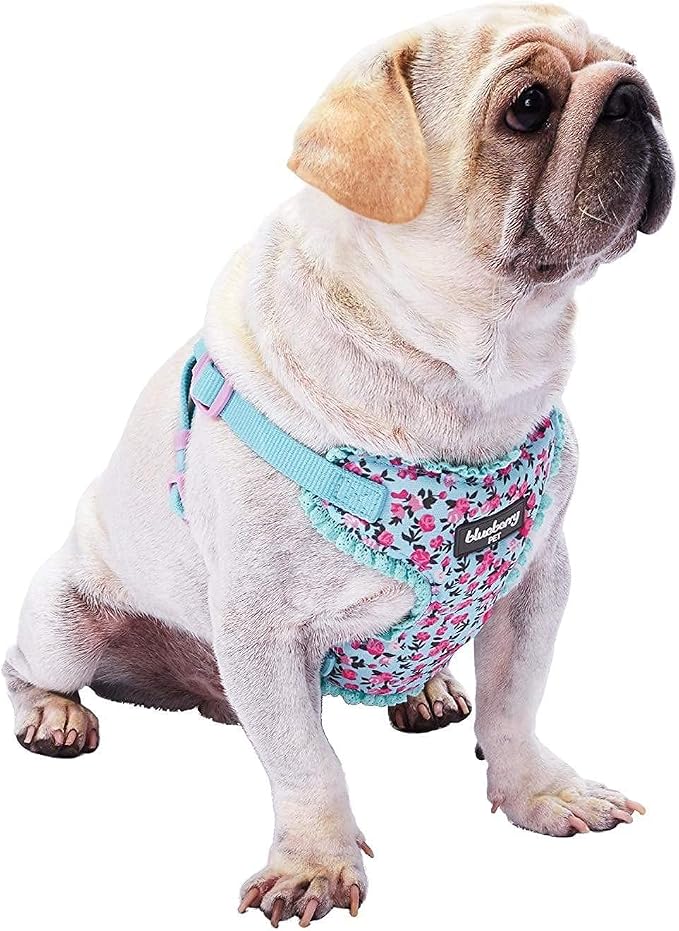 Blueberry Pet Soft & Comfy Made Well Cute Floral No Pull Mesh Dog Harness Vest in Light Blue, Chest Girth 17.5"-21", Small, Adjustable Harnesses for Dogs