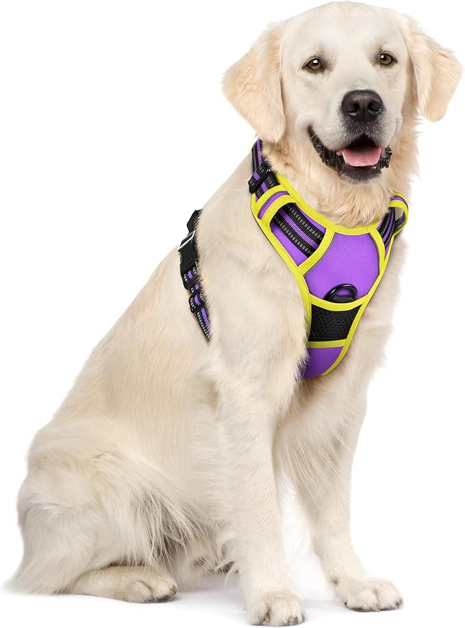 rabbitgoo Dog Harness, No Pull for Large Dogs with 2 Leash Clips, Pet Vest | No Choke with Handle, Adjustable Soft Padded, Reflective, Easy Control for Walking, Purple & Yellow, X-Large
