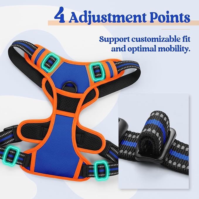 rabbitgoo Dog Harness, No Pull for Small Dogs with 2 Leash Clips, Pet Vest | No Choke with Handle, Adjustable Soft Padded, Reflective, Easy Control for Walking, Blue & Orange, Small