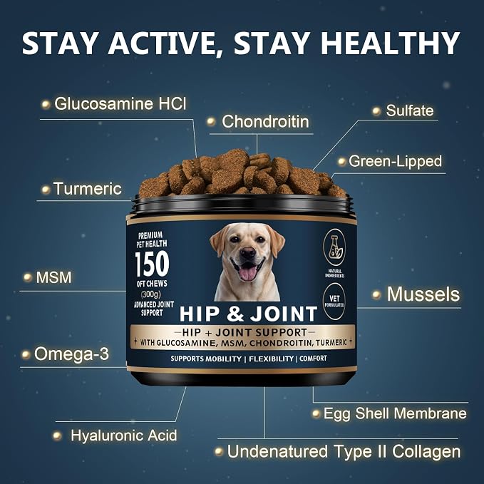 Glucosamine for Dogs - 150 Soft Chews, Hip & Joint Supplement with MSM, Chondroitin, Turmeric – Joint Support for Dogs Chicken Flavor – Vet Formulated – 2-Month Supply