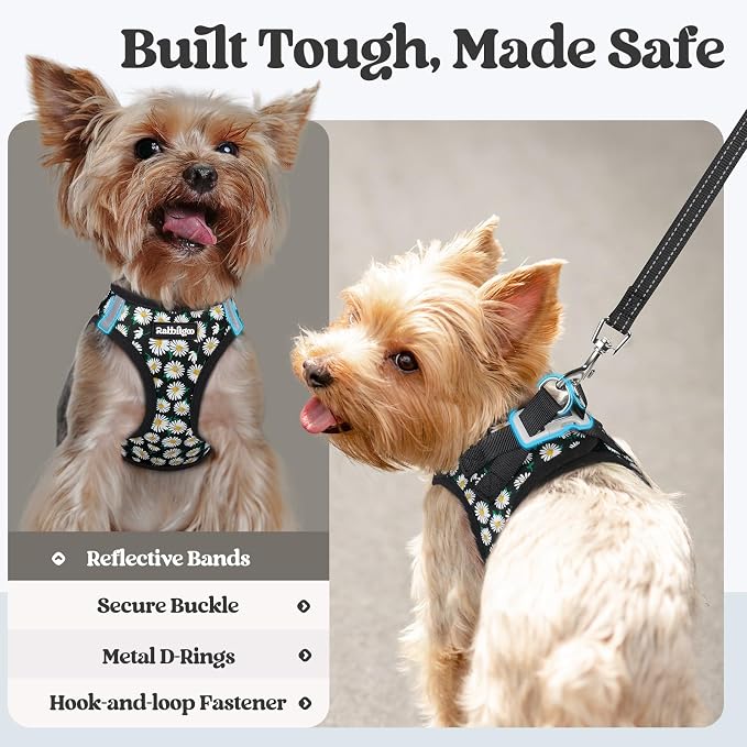 rabbitgoo Dog Harness Small Sized and Leash Set, Step-in Puppy Pet Vest | Light, Soft, Breathable Air Mesh, Easy on and Remove with Hook & Loop, Secure Reflective for Walking, Midnight Daisy M