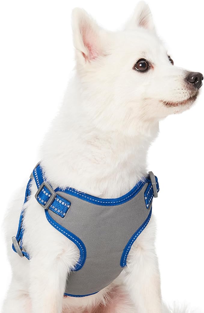 Blueberry Pet Matching Reflective Harness and Leash Set | Adjustable Pastel Vest with Lead for Dogs – Great Value Gift Set | Adjustable Navy Vest for Medium Breeds
