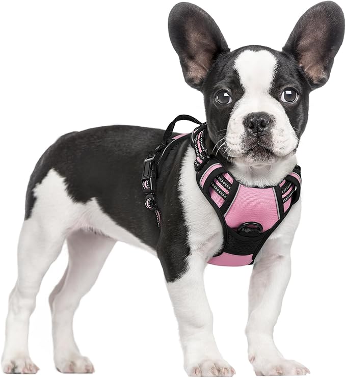 rabbitgoo Dog Harness, No Pull for Small Dogs with 2 Leash Clips, Pet Vest | No Choke with Handle, Adjustable Soft Padded, Reflective, Easy Control for Walking, Pink, Small
