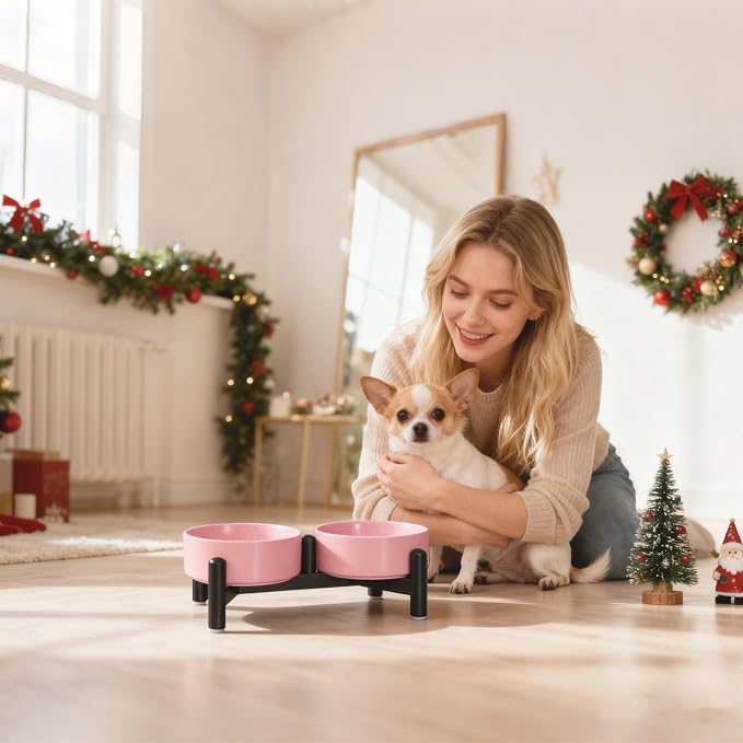Raised Ceramic Dog Bowl Set - Elevated Double Dishes with Stainless Steel Stand - Food and Water Bowls for Small Dogs and Indoor Cats - Each Holds 1.6 Cups (10.8 fl oz) - White