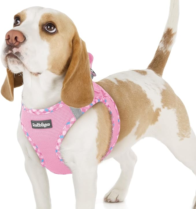 rabbitgoo Step-in Small Dog Harness, Puppy Vest for Small Sized Pet | Easy Put on and off, Lightweight, Soft, Breathable Quick-Dry Air Mesh for Comfortable Secure Walking, Pink & Plaid Trim M