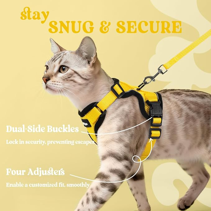 rabbitgoo Cat Harness and Leash Set, Escape Proof Vest, Yellow | Soft Breathable Mesh, Easy Adjustable Fit, Snap Buckles, Sturdy Clip, Reflective Strips, for Kittens & Small Cats Walks, Xxs