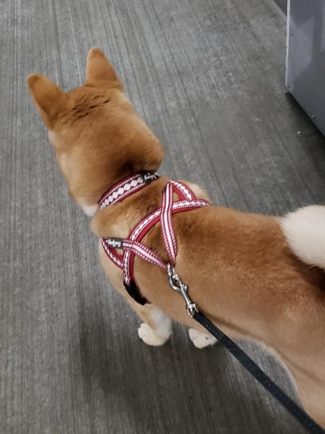 Blueberry Pet 4 Colors Soft & Comfy 3M Reflective Jacquard Padded Dog Harness, Chest Girth 30" - 38.5", Marsala Red, Large, Adjustable Harnesses for Dogs