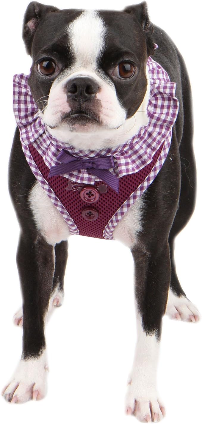 Authentic Puppia Vivien Harness, Purple, Large