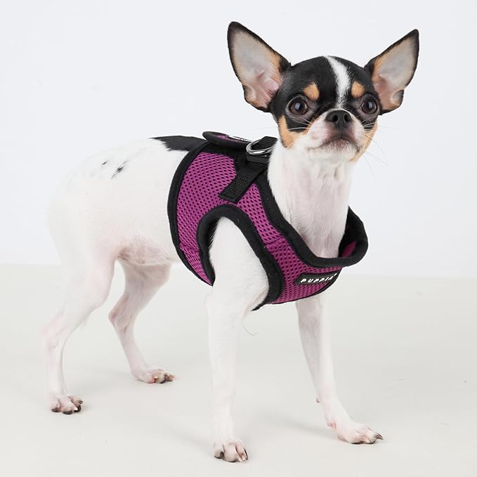 PUPPIA International Harness Soft B Vest, Large, Purple