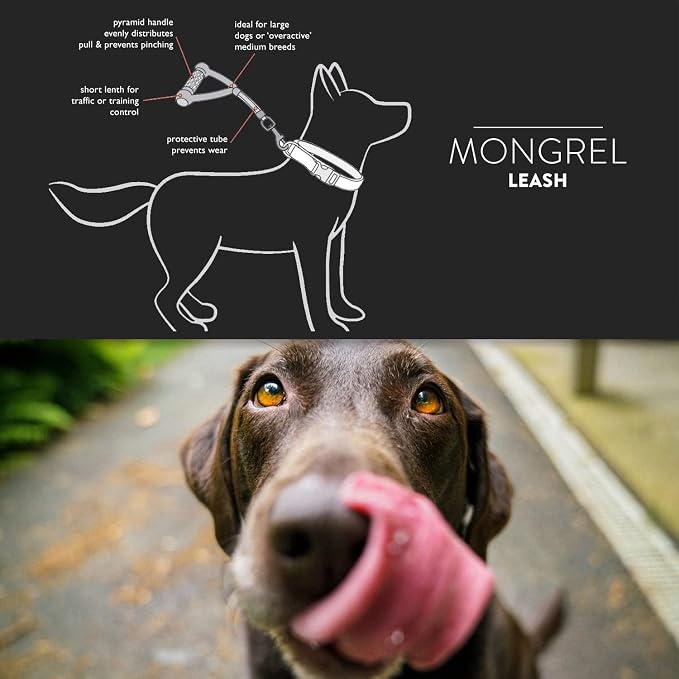 EzyDog Mongrel, 12" Short Dog Leash for Medium to Large Dogs - 12", Black | Strong Handle with Rubber Comfort Grip, Pyramid Handle Design, Keep Your Large Dog Close, Perfect for Control