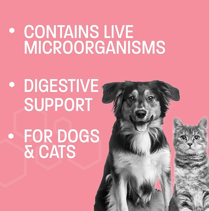 Probiotic Oral Paste for Dogs & Cats - Support Healthy Digestion Probiotic Gel - Anti Diarrhea for Dogs and Cat Probiotics for Diarrhea - for Traveling, Kenneling and Training - 30 cc