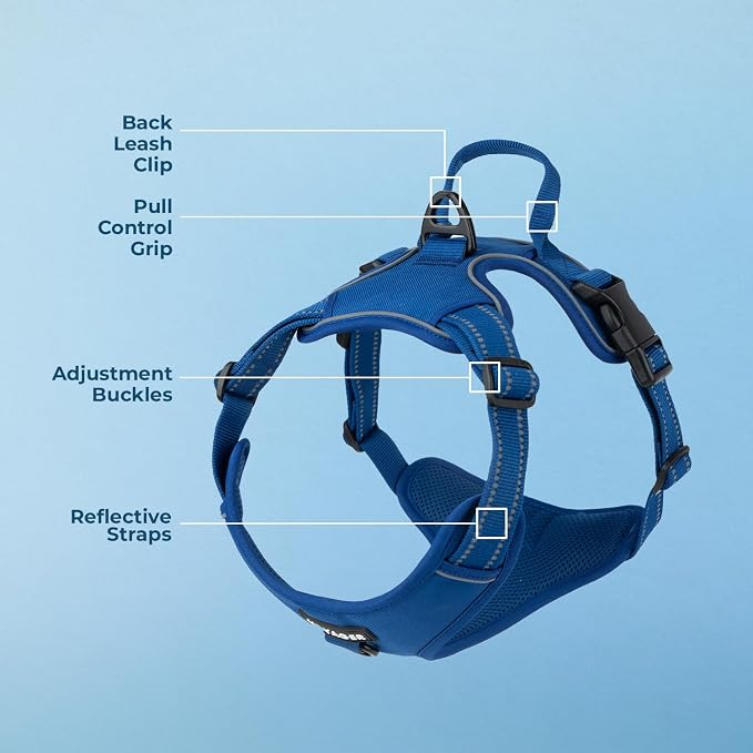 Voyager Dual Attachment No Pull Harness - Royal Blue, X-Small | 13 - 16" in Chest, No Pull Dog Harness, Fully Adjustable, 3M Reflective Technology, Front & Back D-Rings, Walking & Training
