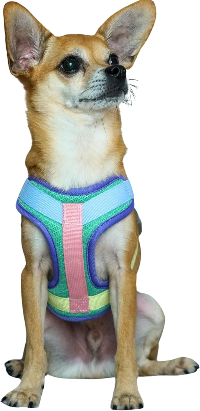 Blueberry Pet Vibrant Mesh Padded Ultra Cool Lightweight Dog Harness Vest in Mint, Large, Neck 21", Chest 24¾"~30¼"