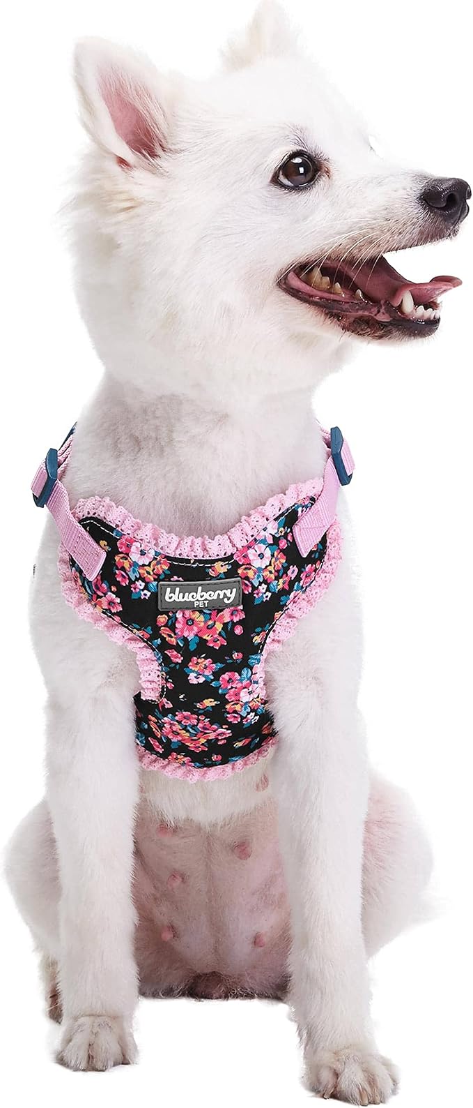 Blueberry Pet Soft & Comfy Made Well Elegant Floral No Pull Mesh Puppy Dog Harness Vest in Sleek Black, Chest Girth 14"-16", X-Small, Adjustable Harnesses for Dogs & Cats