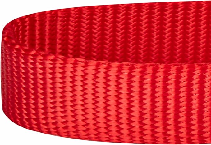 Blueberry Pet Essentials Matching Dog Collar and Double Handle Leash Set in Rouge Red, Adjustable Classic Solid Color Nylon Collar with 5 ft Leash for X-Small Dogs