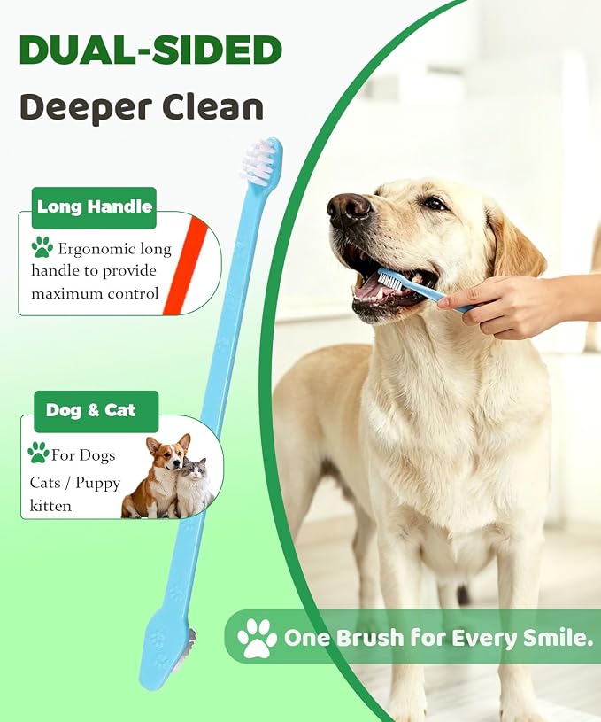 10 Pieces Pet Toothbrush Set for Medium Large Dogs, Extra Long Double-Ended Dog Toothbrush with 360° Brush, Soft Bristle Dental Care Kit with Finger Brushes, Pet Teeth Cleaning Supplies (Multicolor)