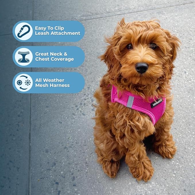 Voyager Step-in Air Dog Vest Harness - Fuchsia, XX-Small | 12 - 13.5" in Chest, Reflective Bands, All Weather Breathable Air Mesh, Cats Compatible, Lightweight, Fast Drying