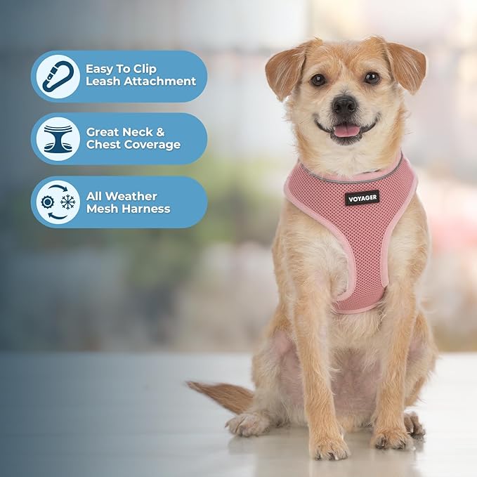 Best Pet Supplies Voyager Aerolite Over the Head Dog Harness, No Pull Breathable Air Mesh Vest, Quick Dry with Reflective Stitching, Adjustable Escape Resistant Harness - Pink, X-Small