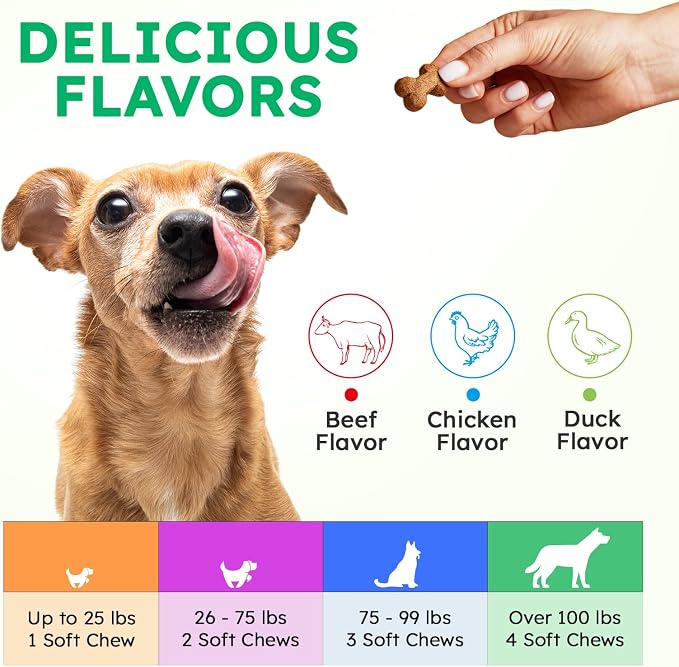 Dog Vitamins and Supplements - 150 Dog Multivitamin Chewable - Immune, Joint Support, Skin, Gut Health + Packed with Omega 3s, Glucosamine & Probiotics - Safe for Puppy - Beef