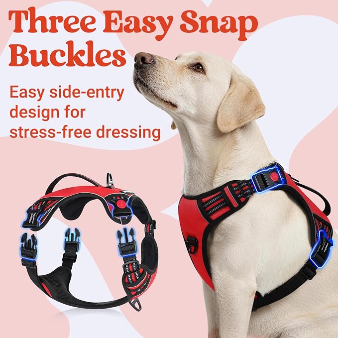 rabbitgoo Large Dog Harness, Easy Wear with 3 Buckles and Lift Handle | No Pull with Front Clip for Walking, Adjustable Soft Padded, Reflective, Easy Control, Red, Large