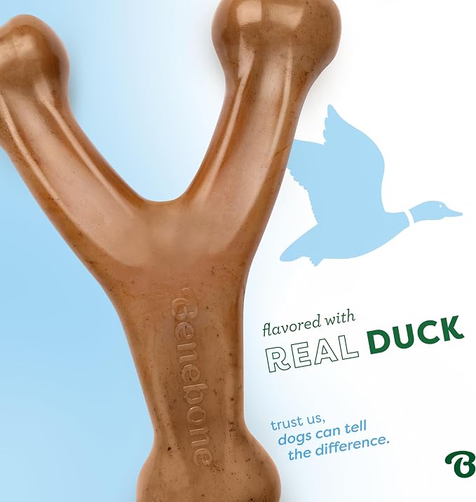 Benebone Wishbone Durable Dog Chew Toy for Aggressive Chewers, Duck, Made in USA, Medium