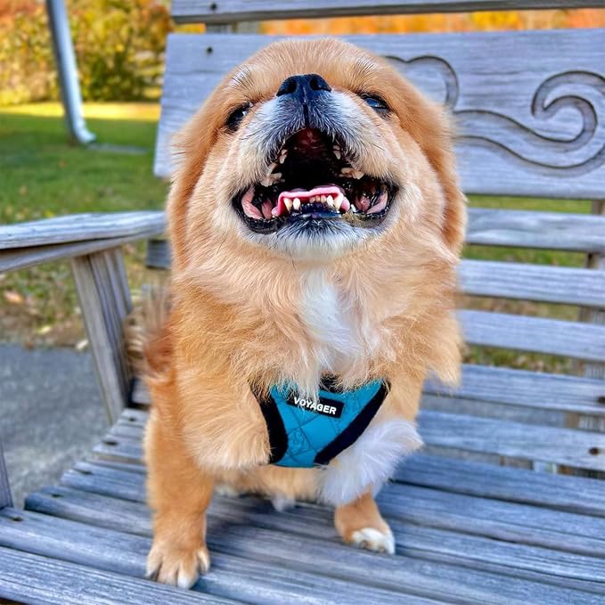Voyager Step-in Plush Dog Vest Harness -Turquoise Plush, Medium | 16 - 18" in Chest, Soft Plush, Reflective Bands, Cold-Weather Harness, Cats Compatible. Step-In Style,