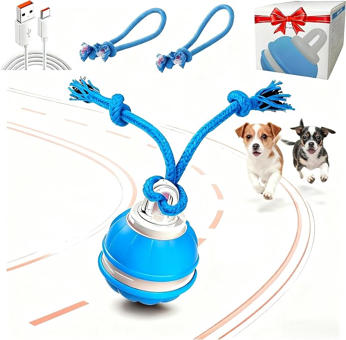 Interactive Dog Ball Toy for Small Dogs, Motion Activated Rolling Ball | Motion Activated Rolling Dog Ball Toy with Birdsong Squeaky & Chewable Rope | Peppy Fetch Toy to Keep Small Dogs Busy