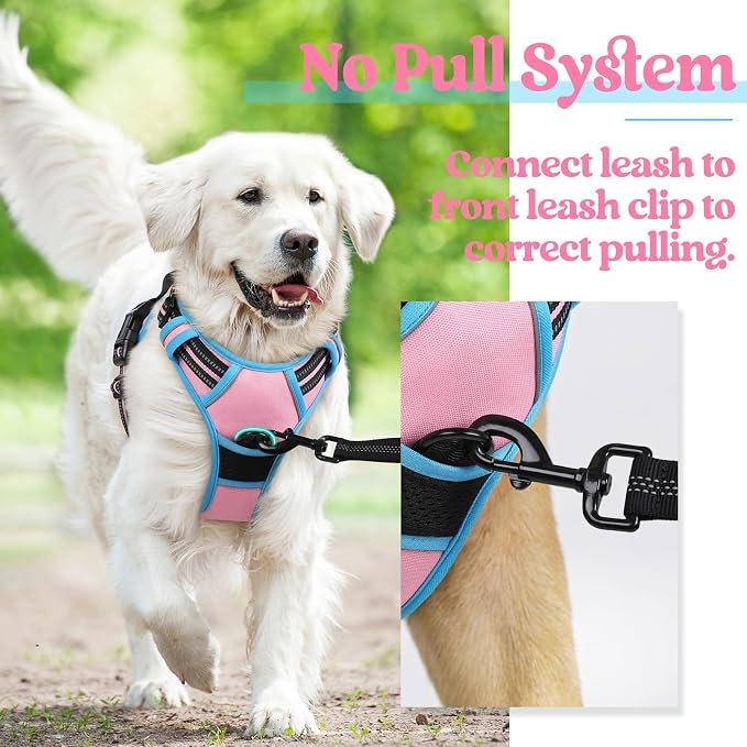rabbitgoo Dog Harness, No Pull for Large Dogs with 2 Leash Clips, Pet Vest | No Choke with Handle, Adjustable Soft Padded, Reflective, Easy Control for Walking, Pink & Blue, X-Large