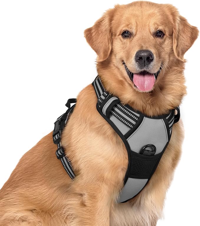 rabbitgoo Dog Harness, No Pull for Large Dogs with 2 Leash Clips, Pet Vest | No Choke with Handle, Adjustable Soft Padded, Reflective, Easy Control for Walking, Gray, X-Large