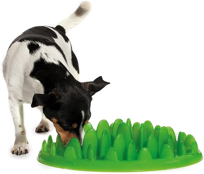 Northmate Green Slow Feeder-Small