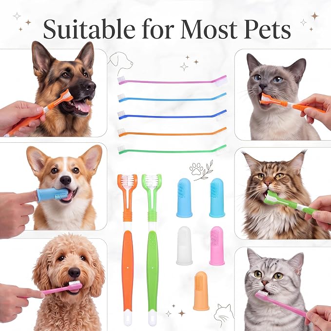110 Pcs Pet Dog Toothbrush Kit Bulk Includes 50 Dual Head Dental Brushes 50 Finger Brushes 10 Triple Head Pet Toothbrushes 360 Degree Teeth Cleaning for Puppy Cats Oral Dental Health