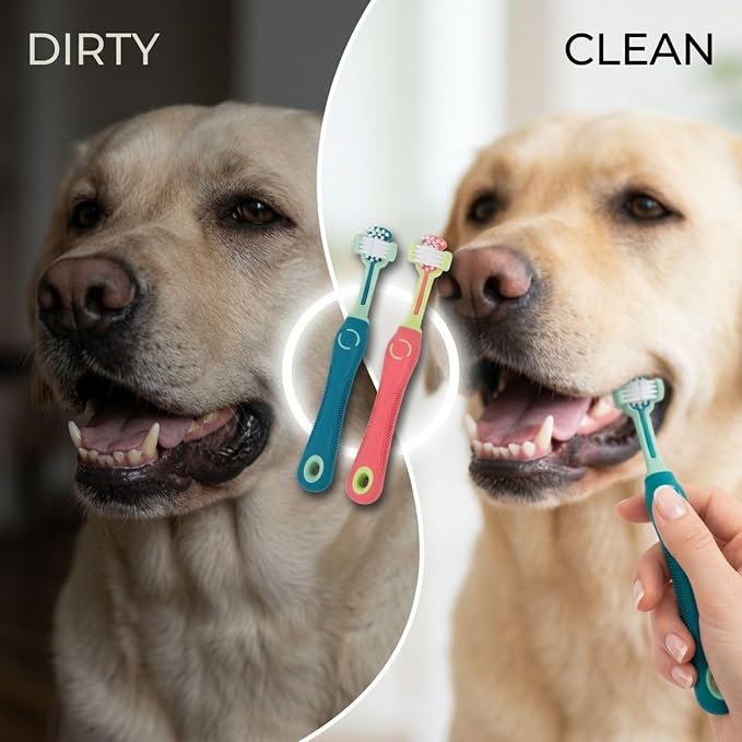 2 Pcs Dog Toothbrush Set, Three Sided Bristles Cat Toothbrush, ABS and TPR Pet Toothbrush with Non Slip Handle, 0.7 in Brush Head, Pink and Green