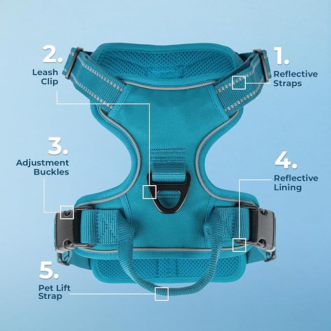 Voyager Dual Attachment No Pull Harness - Turquoise, Large | 25-30" in Chest, No Pull Dog Harness, Fully Adjustable, 3M Reflective Technology, Front & Back D-Rings, Walking & Training
