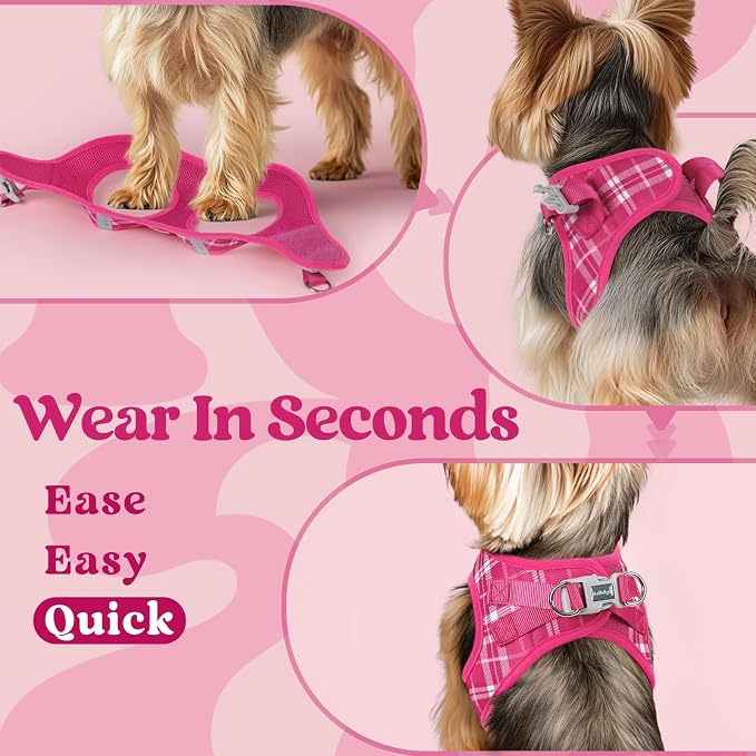 rabbitgoo Step-in Small Dog Harness, Puppy Vest for Small Sized Pet | Easy Put on and off, Lightweight, Soft, Breathable Quick-Dry Air Mesh for Comfortable Secure Walking, Rose Red Plaid S