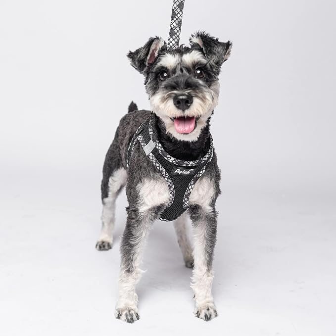 PUPTECK Dog Harness and Leash Set for Small Medium Dogs No Pull Step-in Soft Mesh Puppy Cat Vest Harnesses Reflective at Night, Black M