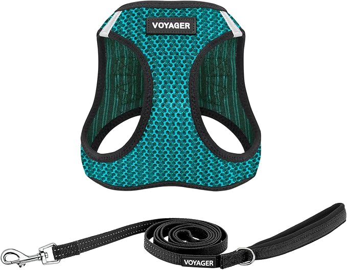 Best Pet Supplies Voyager Step-in Air All Weather Mesh Harness and Reflective Dog 5ft Leash Combo with Neoprene Handle, for Small, Medium and Large Breed Puppies - Turquoise 2-Tone, Small
