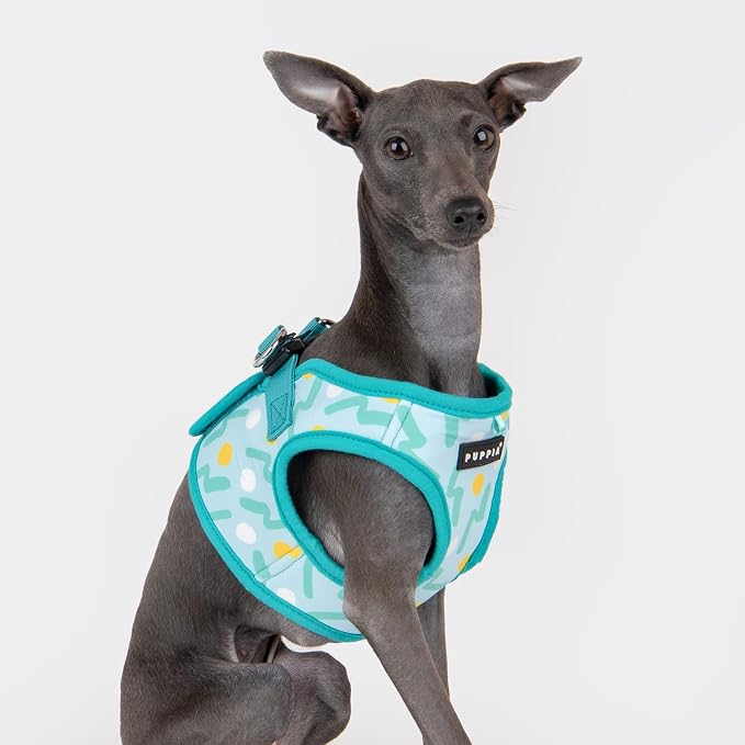 Puppia FETE Step-in Vest Dog Harness No Choke No Pull Walking Training for Small and Medium Dog - Aqua - M