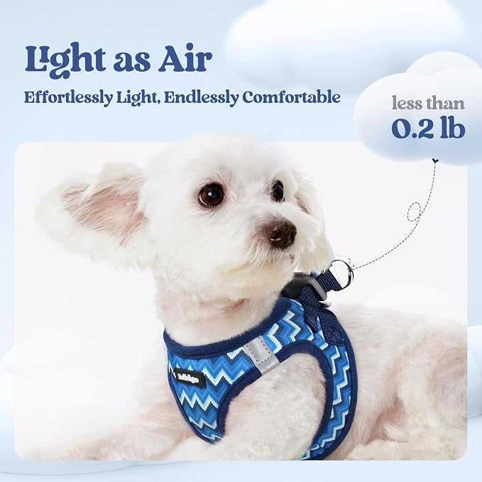 rabbitgoo Dog Harness Small Sized and Leash Set, Step-in Puppy Pet Vest | Light, Soft, Breathable Air Mesh, Easy on and Remove with Hook & Loop, Secure Reflective for Walking, Blue Zigzag S